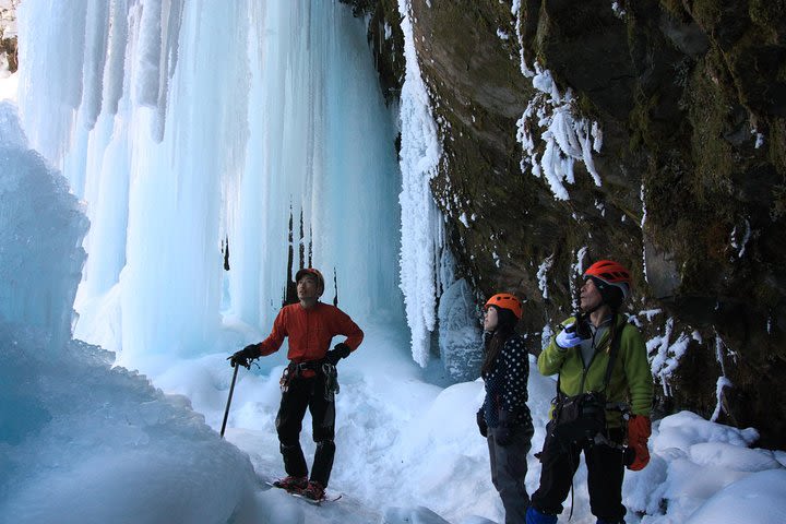 Frozen fall trekking image