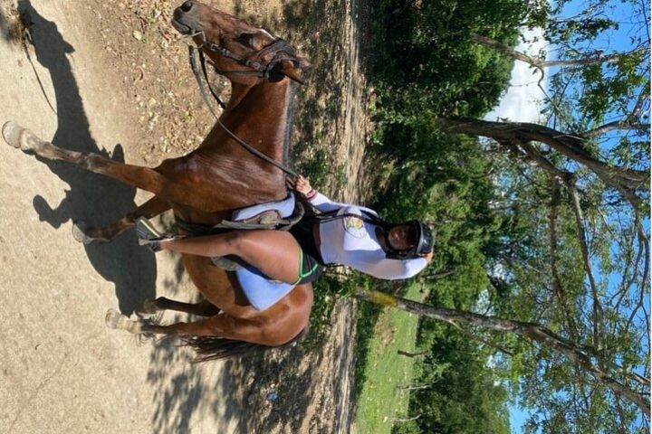 ATV experience with Horseback riding Tour from Montego Bay image