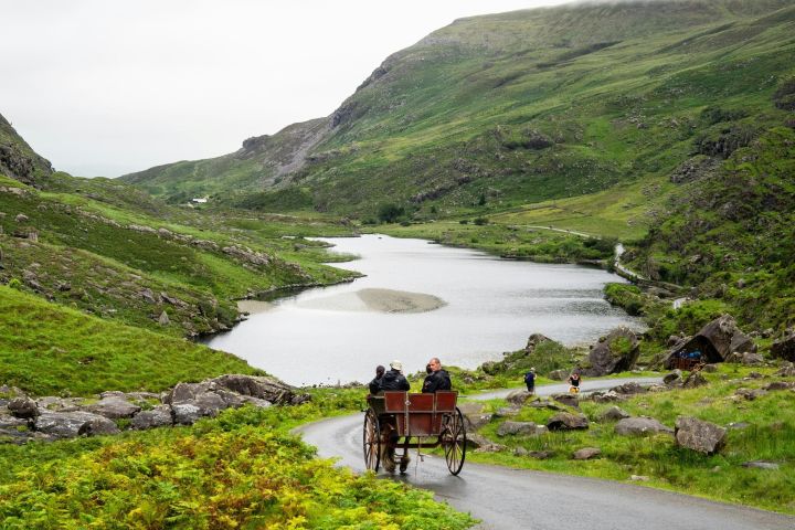 Killarney Highlights Walk with Carriage Ride image