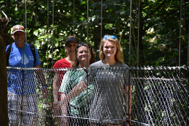 Hanging Bridges-Volcano Walk with Night Tour image