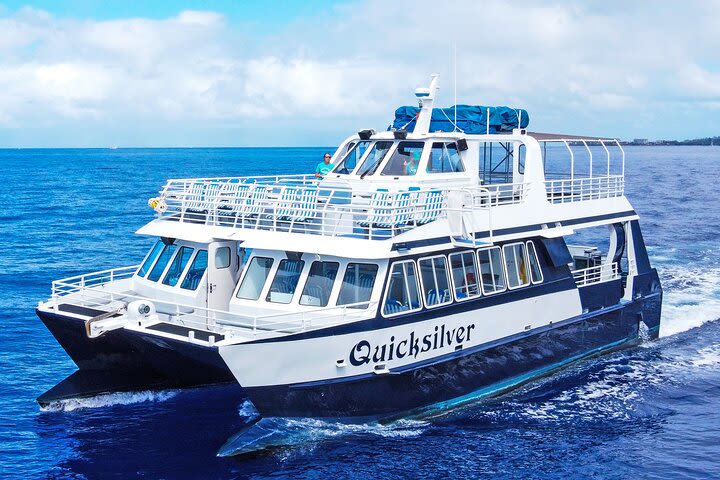 Lanai Snorkeling & Dolphin Encounter Aboard Quicksilver (MAUI / Lahaina Harbor) image