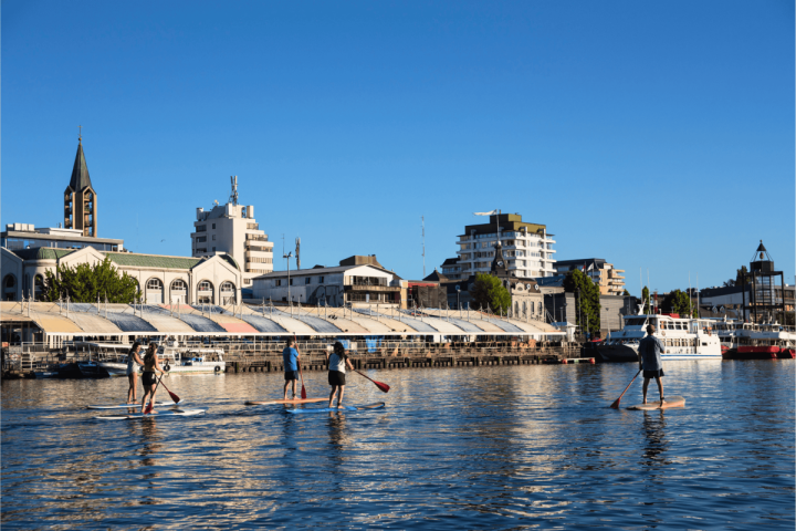 Tour al atardecer en SUP o Kayak por el Río Valdivia image