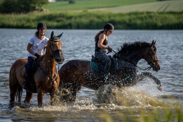 Horseback Riding Tour in Bohemian Switzerland image