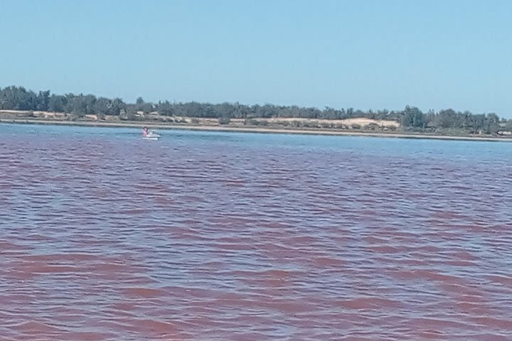 Goree island with pink lake visit full day, minimum 2 people. image