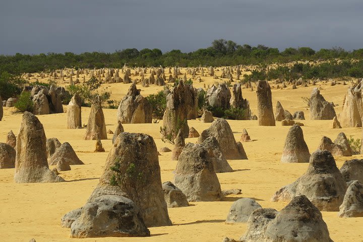 Wave Rock, Pinnacles and Rottnest One Day Aeroplane Tour image