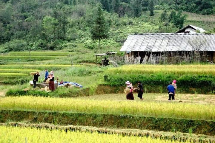 Authentic Sapa Trekking With Local Family Homestay (2d1n by bus) image