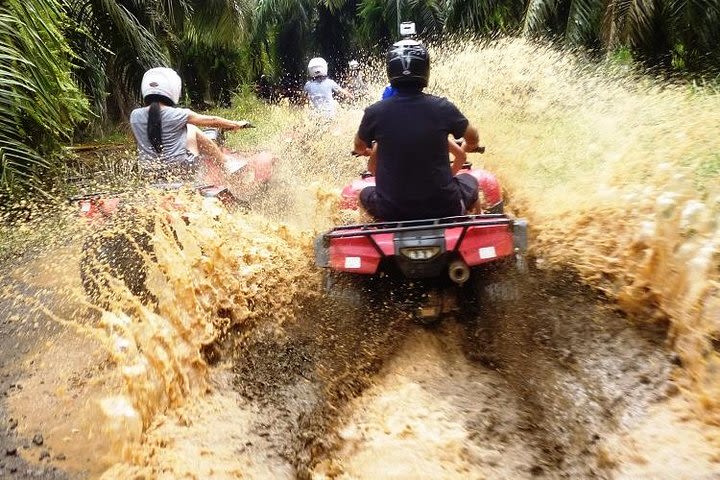 ATV & Canopy Tour From Flamingo Beach image