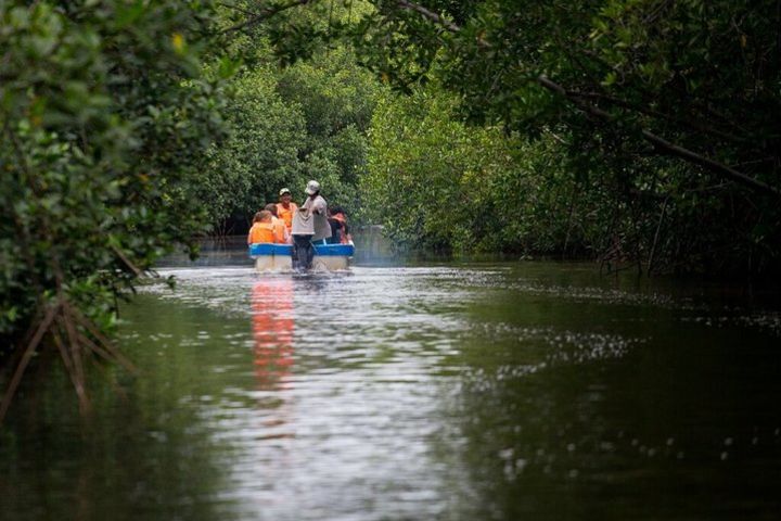 Boat expedition across Juan Venado Island Reserve image