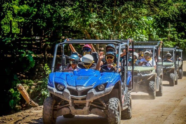 Tour Jungle RZR In La Sierra Madre  image