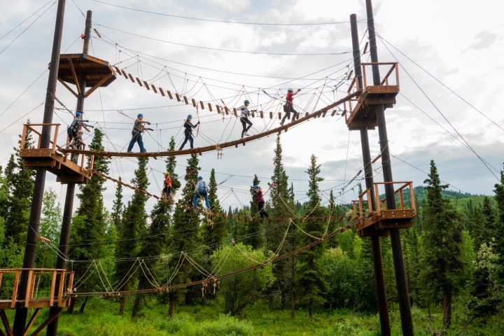 Zipline Adventure near Denali National Park image