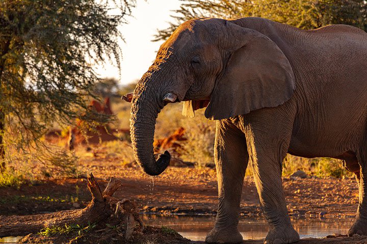  3 Days Masai Mara image