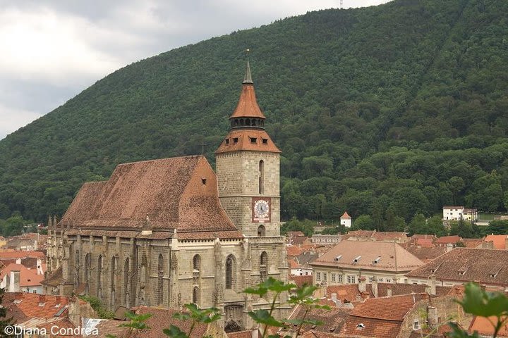 Private Tour of Brasov and Libearty Bear Sanctuary Zarnesti image