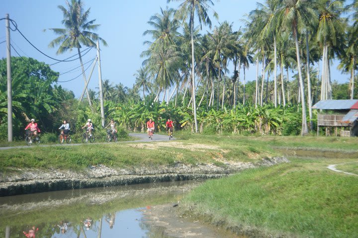 Half-Day Penang Countryside Cycling Tour image