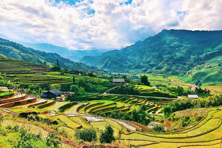 Y Linh Ho, Lao Chai And Ta Van Villages Private Tour Full Day image