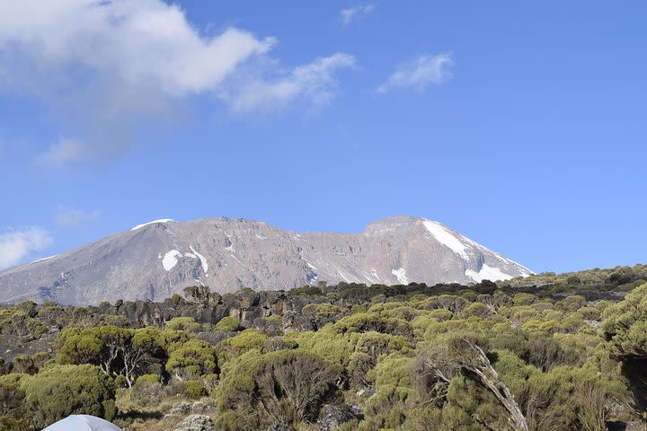 Mt. Kilimanjaro 7 Days Trek - Machame Route image