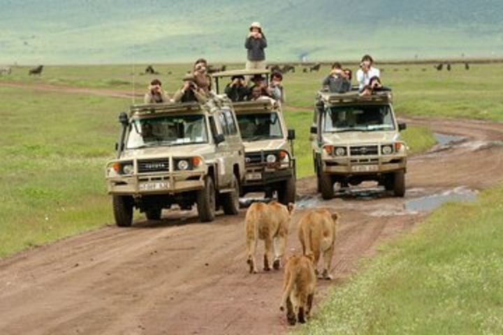 5-Day Lodge Safari Tanzania Tour image