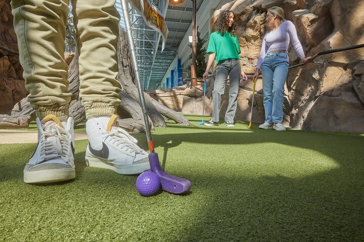 Moose Mountain Adventure Golf in Mall of America image