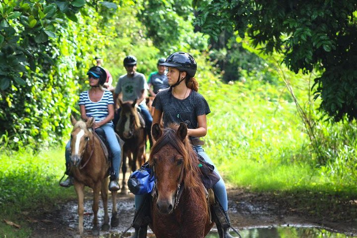 Horseback Riding Tour in Carolina image