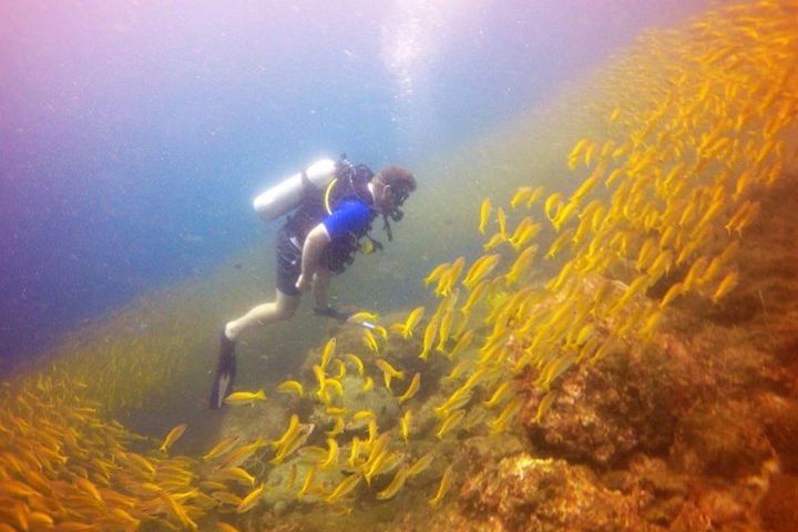 Half-Day PADI Discover Scuba Diving from Koh Phi Phi image