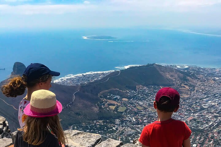 Private Cape Town Tour for Families with a Local, 100% Personalized  image