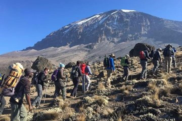 Kilimanjaro 7 Days Machame Route image