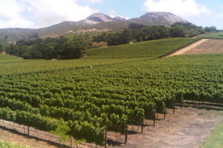 Private Cape Winelands Guided Day Tour from Stellenbosch OR Franschhoek OR Paarl image