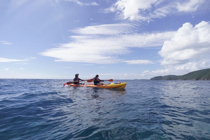 Reef and Turtle Adventure - Kayak and Snorkel Tour image