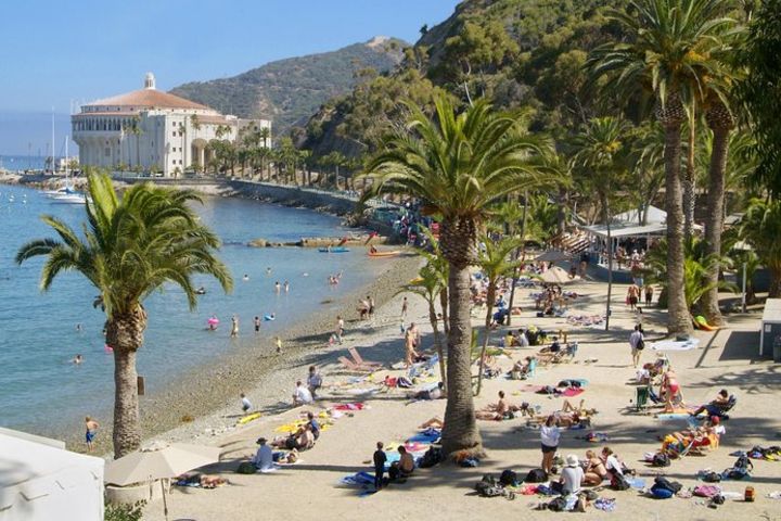 Catalina Island Day Trip from Los Angeles with Discover Avalon Scenic Tour image