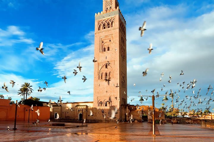  Marrakech city tour with driver image