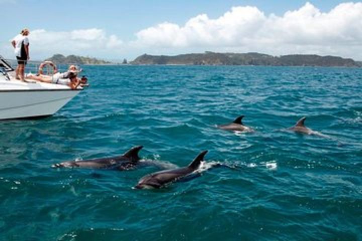 The Bay of Islands Hole in the Rocks Cruise & Dolphin and Whangarei Water falls image