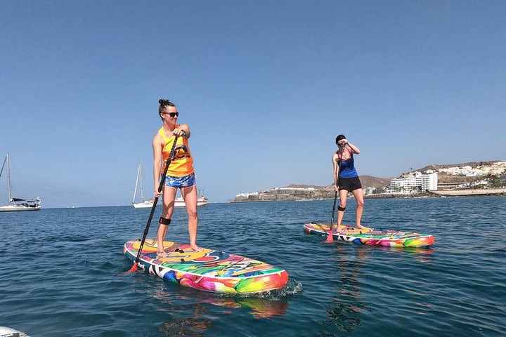 Stand up paddle basic course image