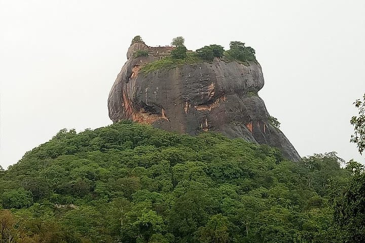 Day Tour to World Heritage sites Sigiriya and Dambulla from Negombo  image