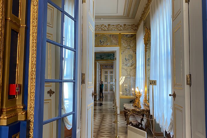 Amazing Catherine’s palace and parks, private tour image