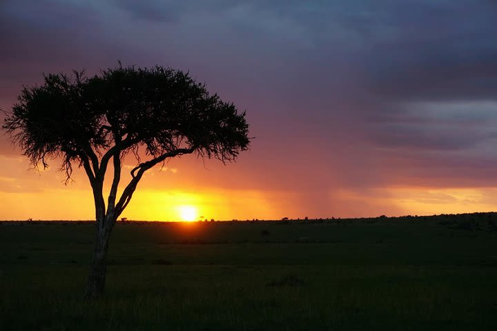 5 DAYS mt. Kenya climb image