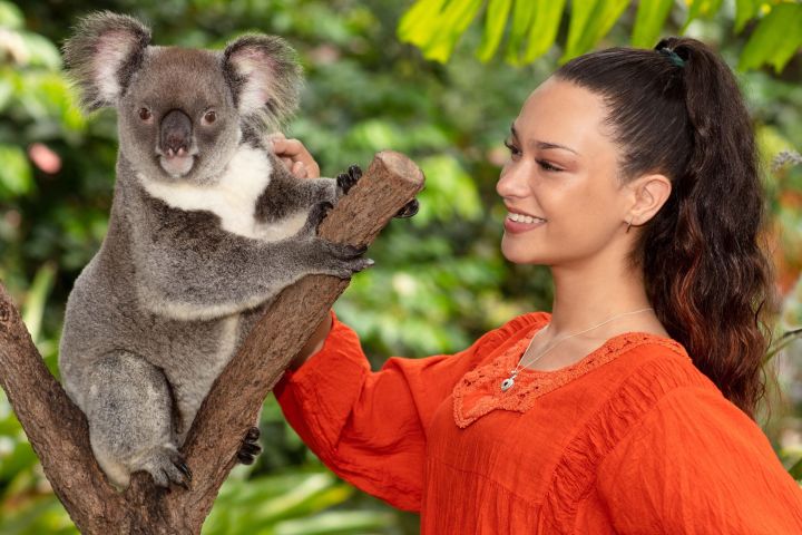 Kuranda Wildlife Experience Pass image