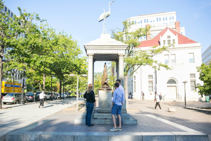 Mall & Monuments by Electric Car image