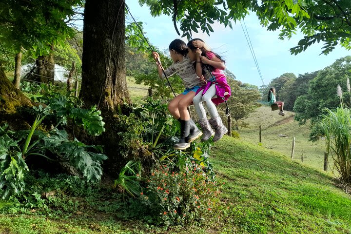 Nature and farm day at "El Terruño de los Torres" image