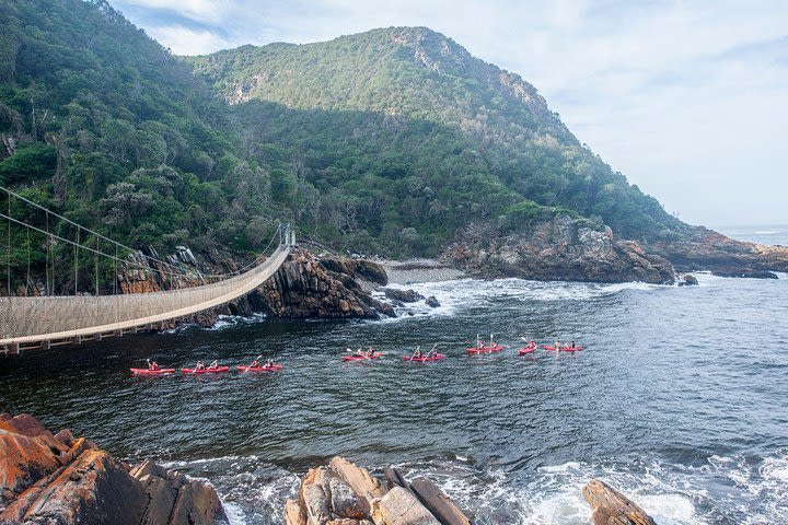 4-Day Garden Route Adventure Tour from Cape Town image