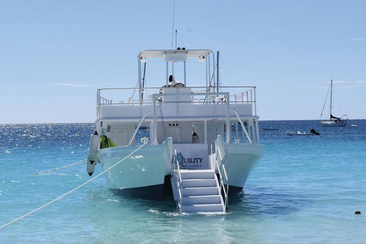 Harrison's Cave Tram Tour and Boat Cruise Snorkel Adventure image