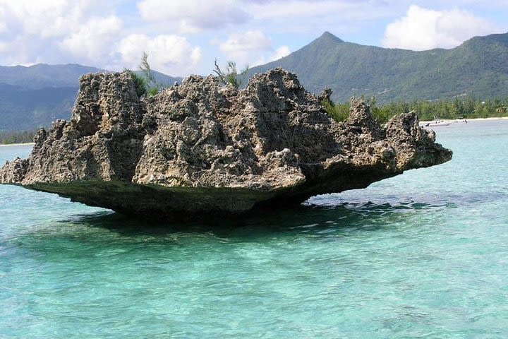 Full-Day Dolphin Watching Cruise in Mauritius image