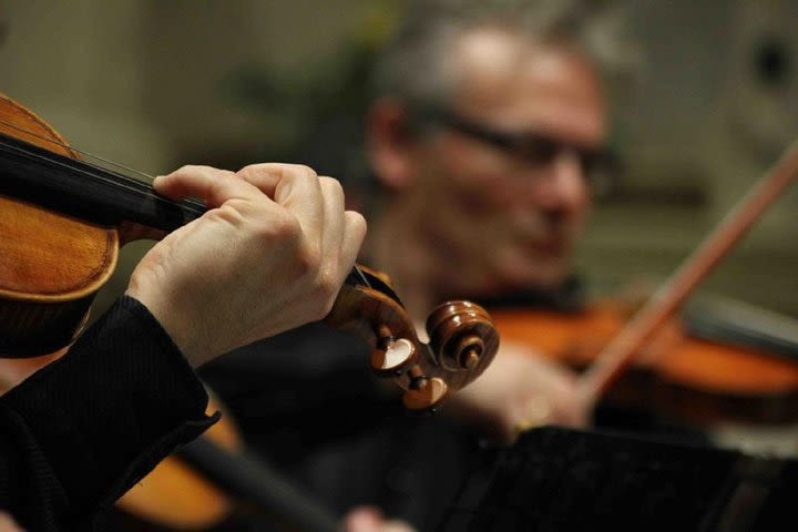 Dinner & Concert in Venice image