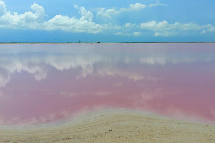 Rio Lagartos Pink Lagoon & Cenote from Playa del Carmen image