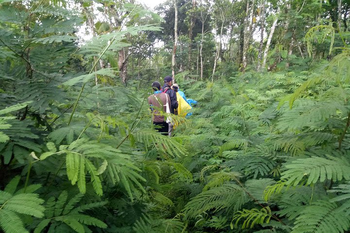 Ullen Sentalu Museum & Merapi Exotic Trekking Tour image