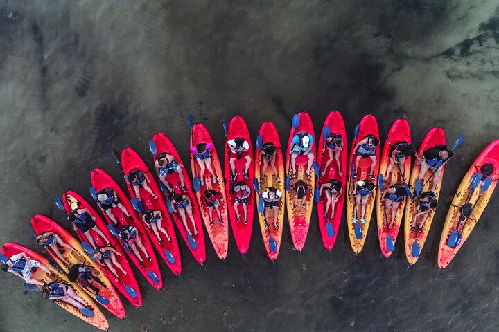 Group Bio Bay Sunset Adventure Kayaking image