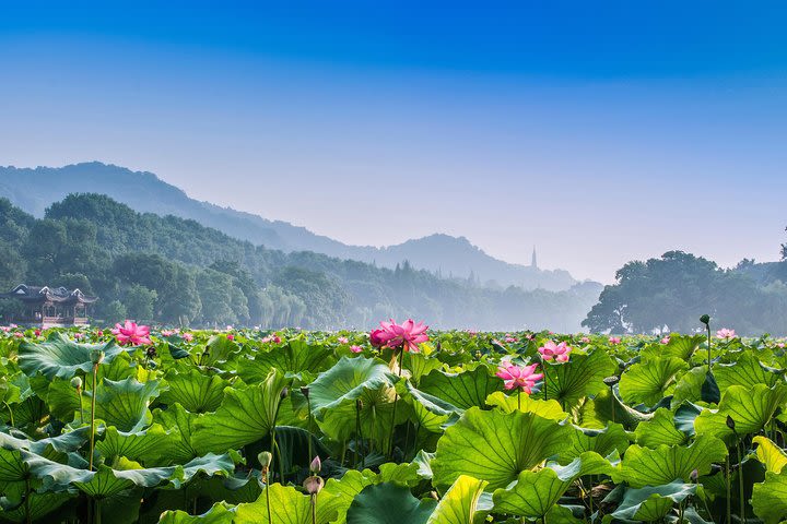 Flexible Hangzhou Private Day Tour with Lunch image