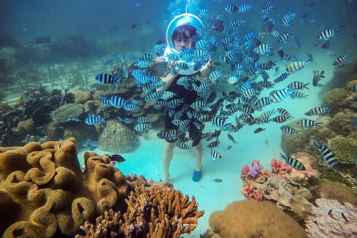 Sea Walker - DIVING, SNORKELING AND WATCHING CORAL REEFS image