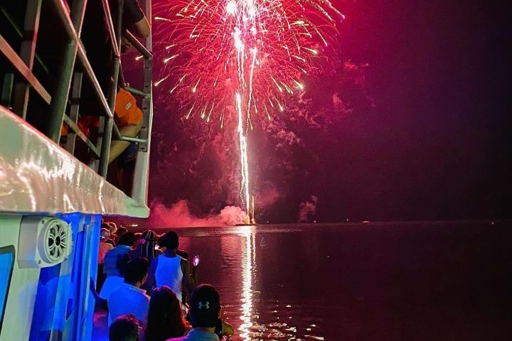 Laguna Madre Bay Dolphin Watching and Fireworks Cruise image