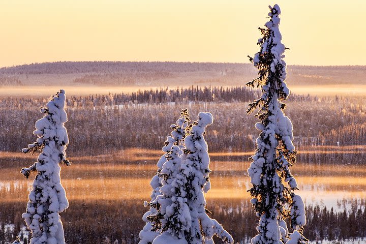 Snowmobile Driving - Morning start image