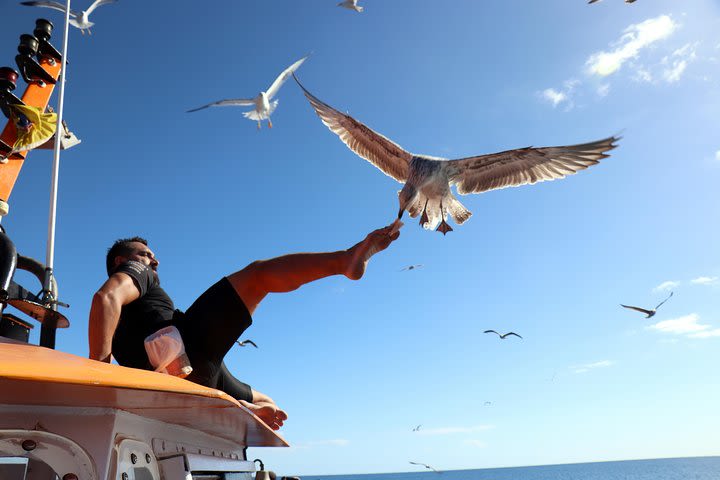 Odyssee 3: The Glass Bottom Boat Tour in Fuerteventura image