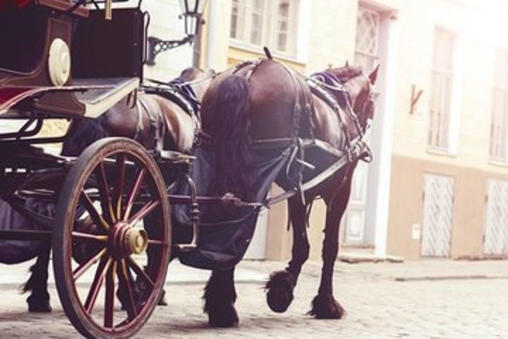 Aswan City Private Tour By Horse Carriage image